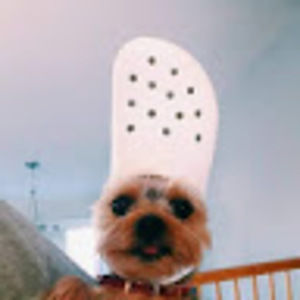 Meet your Posher, Kristina